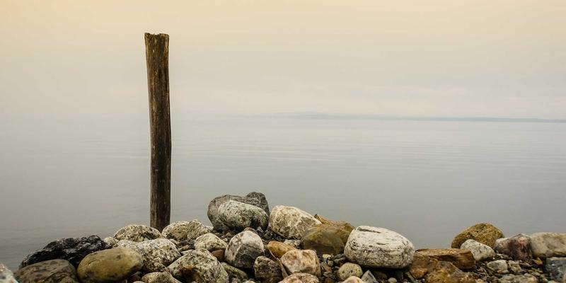 PPC广告与视觉制胜：跨境电商产品摄影如何驱动亚马逊运营增长