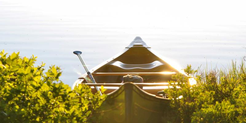 从Amazon FBA到独立站：跨境电商如何用UGC内容打造高转化选品策略