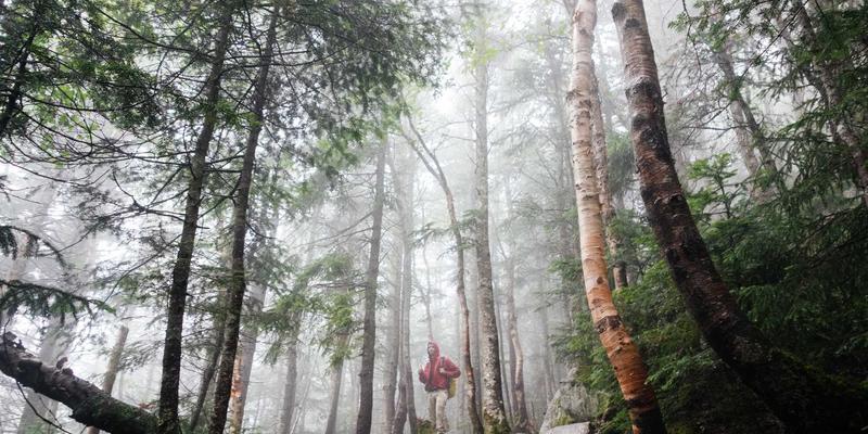 跨境电商4.0时代：以Listing优化为核心，撬动全球电商增长新引擎