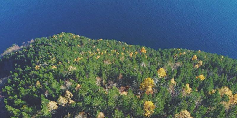 跨境电商SEO实战：如何通过关键词研究与多语言优化征服全球电商市场