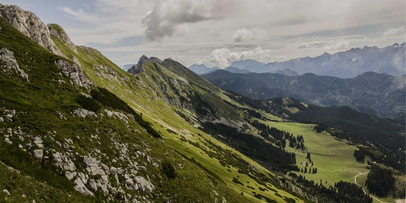 跨境电商制胜之道：数据驱动的选品策略与PPC广告高效协同