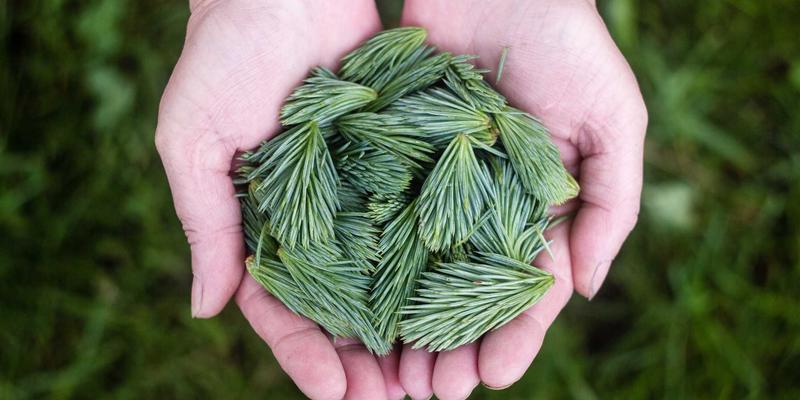 跨境电商制胜关键：PPC广告、亚马逊运营与Listing优化的黄金三角法则