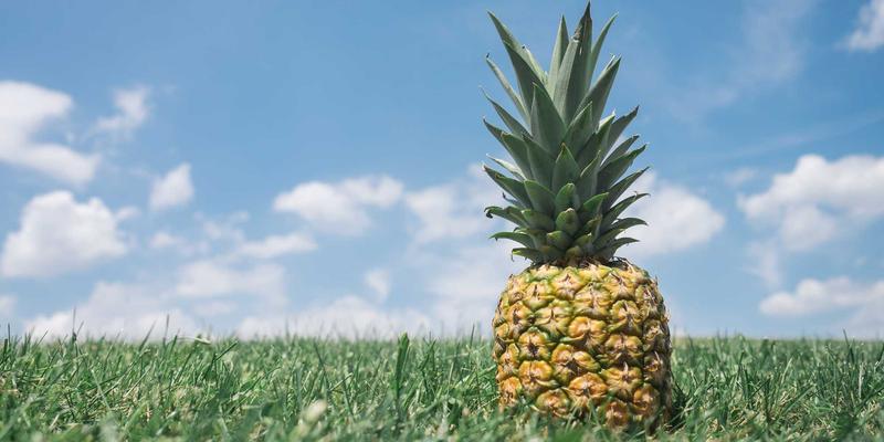 跨境电商前景展望：把握全球电商机遇，以PPC广告与Listing优化驱动增长