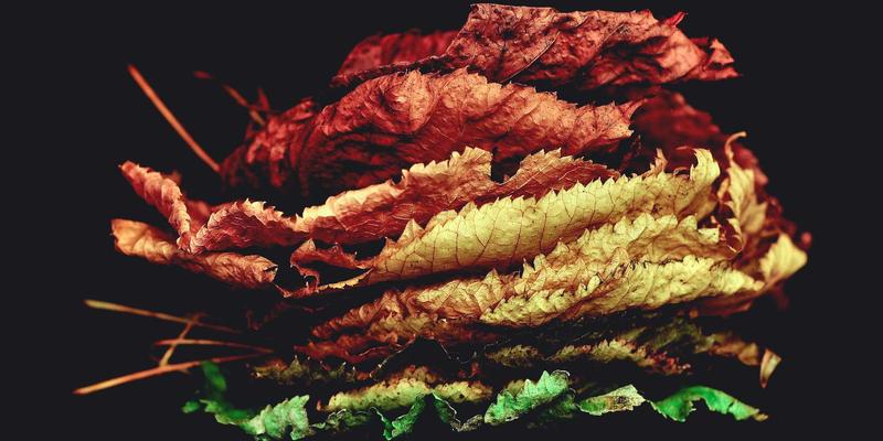 跨境电商成功密码：亚马逊运营与选品策略深度解析