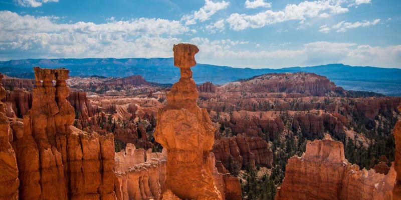 跨境电商成功密码：从PPC广告优化到选品策略的实战案例分析