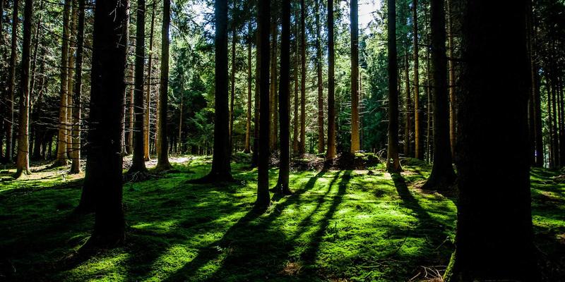 跨境电商支付全攻略：掌握主流支付、汇率风险与合规收款，助力Listing优化与FBA运营