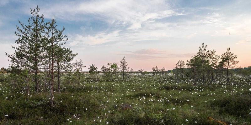 跨境电商物流降本增效指南：优化Amazon FBA仓储与尾程配送的实战策略