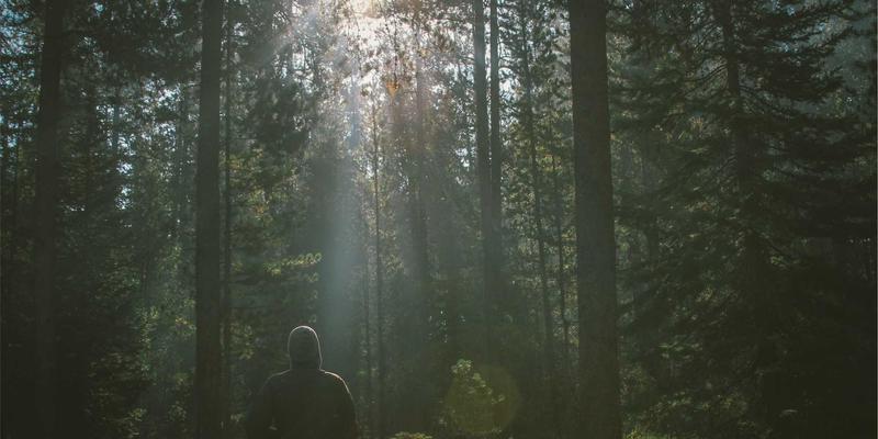 跨境电商独立站SEO实战：从关键词研究到内容架构的谷歌自然流量获取