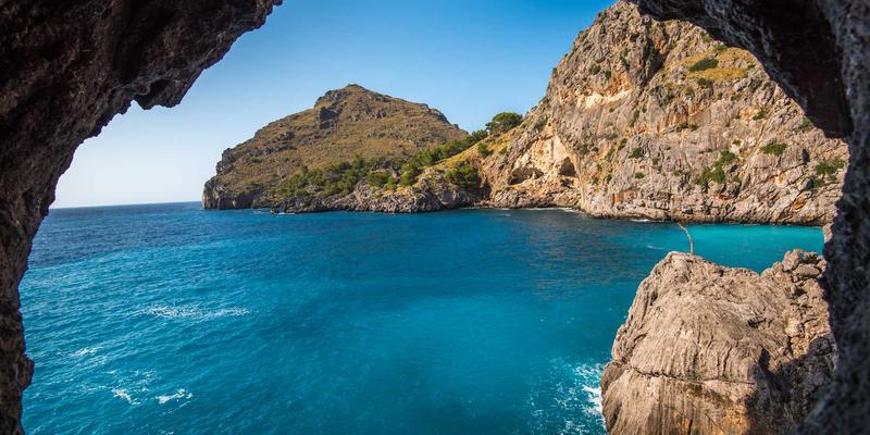 跨境电商竞争情报分析：如何通过Listing优化在全球电商市场脱颖而出