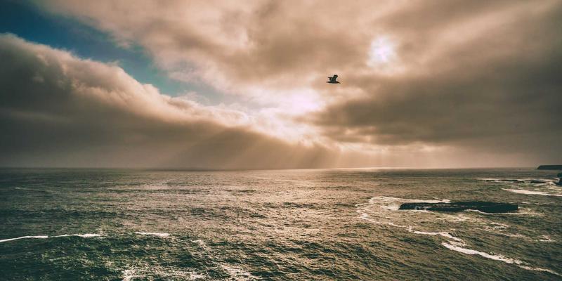 跨境电商竞争突围：巧用PPC广告洞察与选品策略制定差异化优势